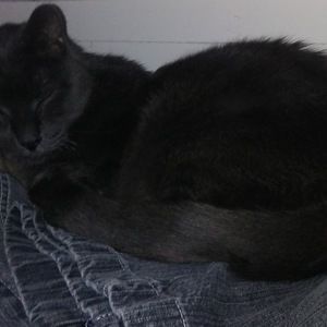 Meet your Posher, Sally